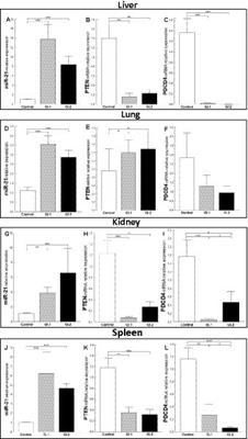 MicroRNAs participate in the regulation of apoptosis and oxidative stress-related gene expression in rabbits infected with Lagovirus europaeus GI.1 and GI.2 genotypes